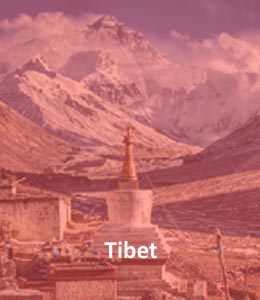 Tibet Buddhist Directory